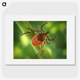 1-19_COVID-19_picture