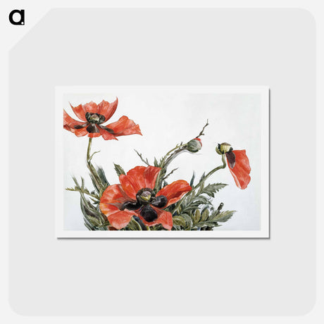 アートポストカード-Red Poppies - チャールズ デムス Postcard.