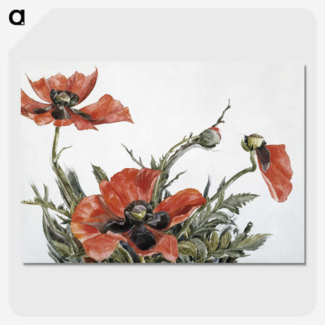 1-19_Charles-Demuth_picture-crop