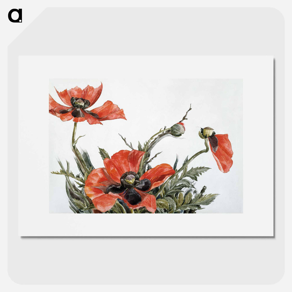 Red Poppies - Charles Demuth Poster.