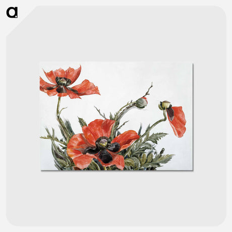アートポストカード-Red Poppies - チャールズ デムス Postcard.