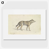 1-19_Charles-Hamilton-Smith_picture