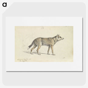 1-19_Charles-Hamilton-Smith_picture