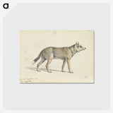 1-19_Charles-Hamilton-Smith_postcard