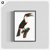 1-19_Des-Oiseaux-de-Paradis_blk-crop