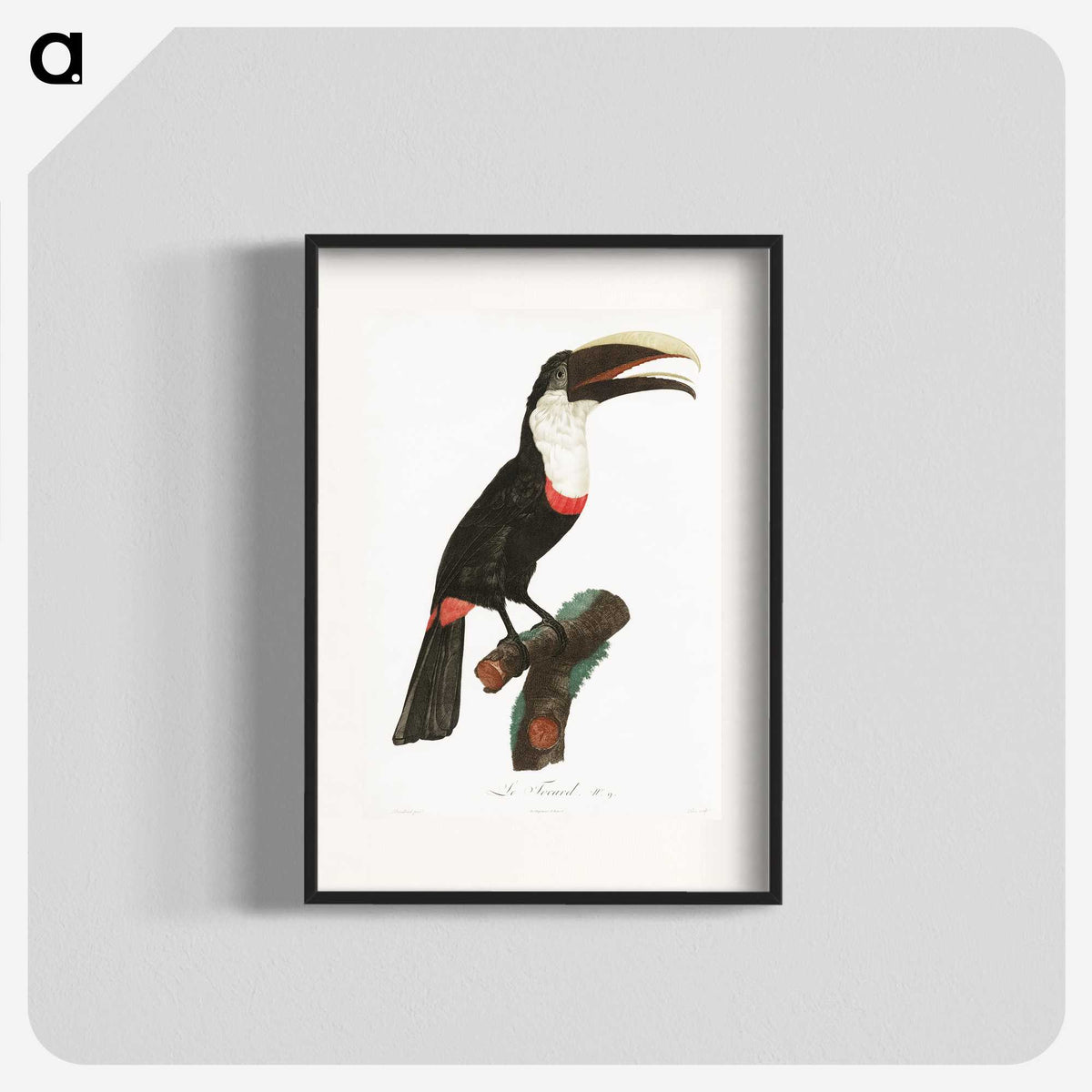 1-19_Des-Oiseaux-de-Paradis_blk
