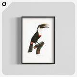 1-19_Des-Oiseaux-de-Paradis_blk