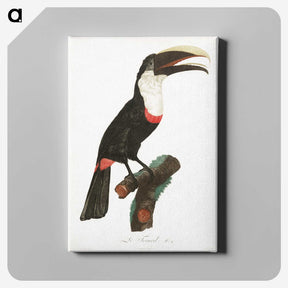 1-19_Des-Oiseaux-de-Paradis_canvas