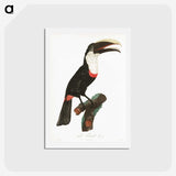 1-19_Des-Oiseaux-de-Paradis_hagaki
