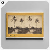 1-19_Eadweard-Muybridge_canvas