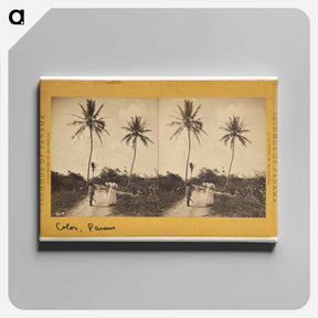 アートパネル-Road Along the Beach
 - エドワード マイブリッジ Canvas.