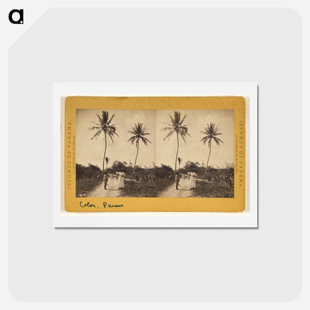 アートポストカード-Road Along the Beach
 - エドワード マイブリッジ Postcard.