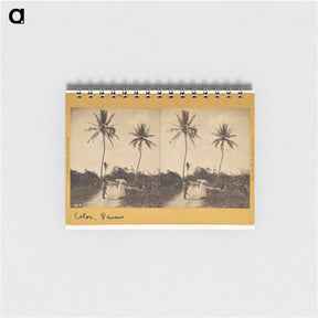 アートメモ帳-Road Along the Beach
 - エドワード マイブリッジ Memo.