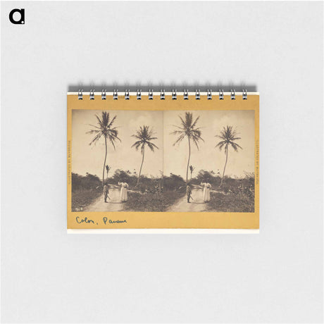 アートメモ帳-Road Along the Beach
 - エドワード マイブリッジ Memo.
