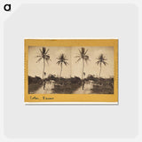 アートポストカード-Road Along the Beach
 - エドワード マイブリッジ Postcard.