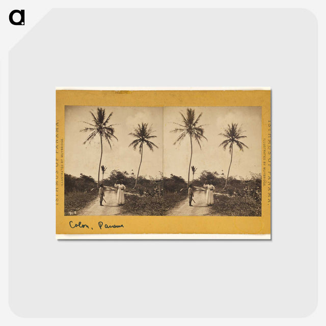 1-19_Eadweard-Muybridge_postcard
