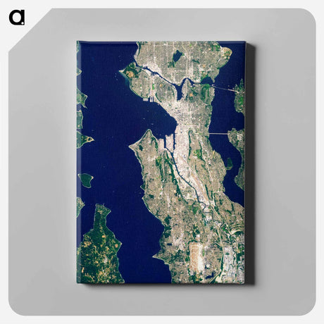 アートパネル-Terrestrial and Coastal Imagery
 - 上空からの地球 Canvas.