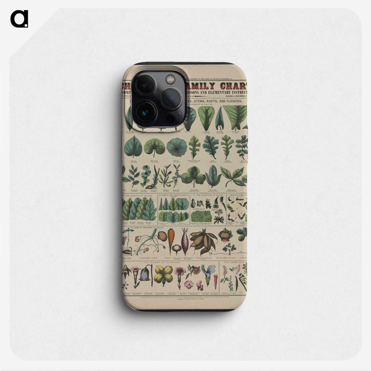 1-19_Education-Charts_phone