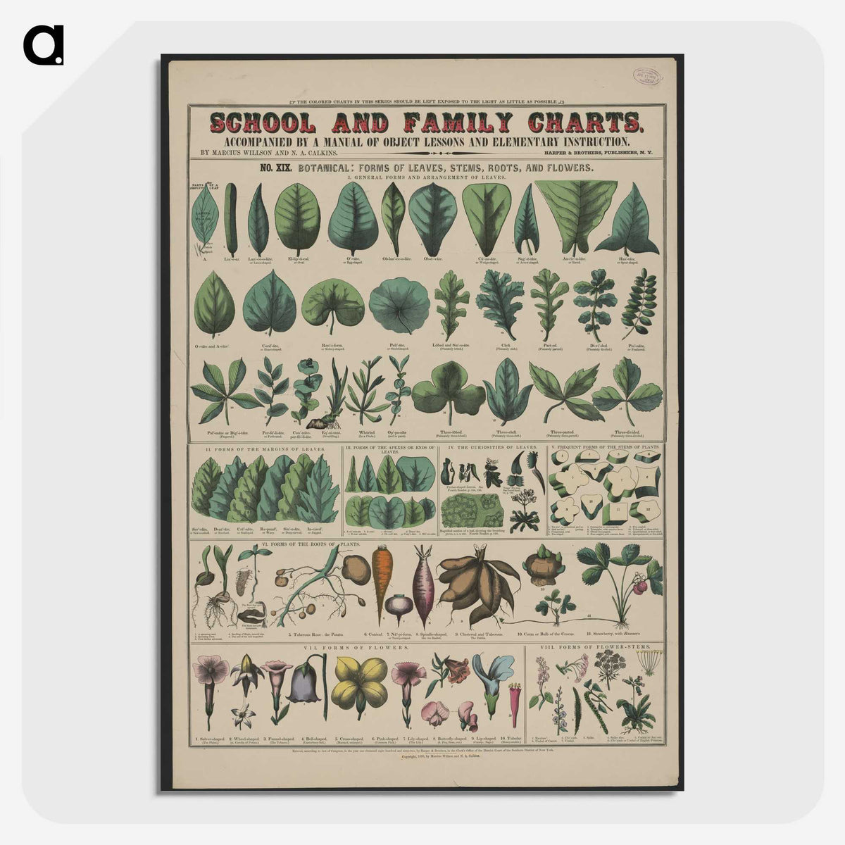 1-19_Education-Charts_picture-crop