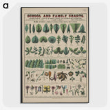 1-19_Education-Charts_picture-crop
