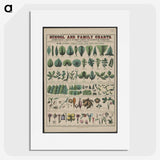 1-19_Education-Charts_picture