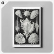 1-19_Ernst-Haeckel_canvas