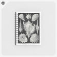 1-19_Ernst-Haeckel_memo