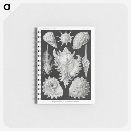 1-19_Ernst-Haeckel_memo