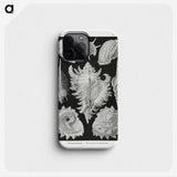 1-19_Ernst-Haeckel_phone