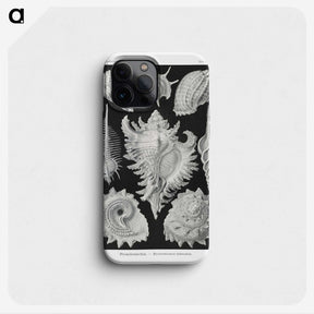 1-19_Ernst-Haeckel_phone