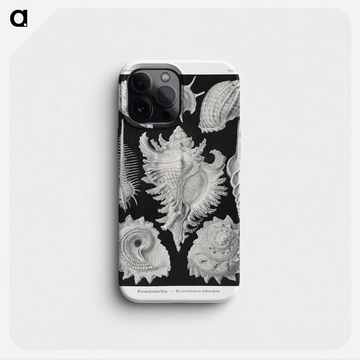 Prosobranchia–Dorderkiemen Schnecken - エルンスト ヘッケル Phone Case.