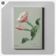 1-19_Familie-der-Cacteen_canvas
