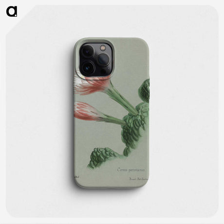 1-19_Familie-der-Cacteen_phone