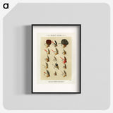 1-19_Favorite-Flies-and-Their-History_blk