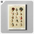 1-19_Favorite-Flies-and-Their-History_canvas