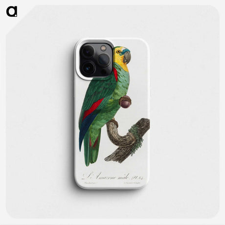 1-19_Francois-Levaillant_phone
