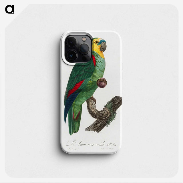 1-19_Francois-Levaillant_phone
