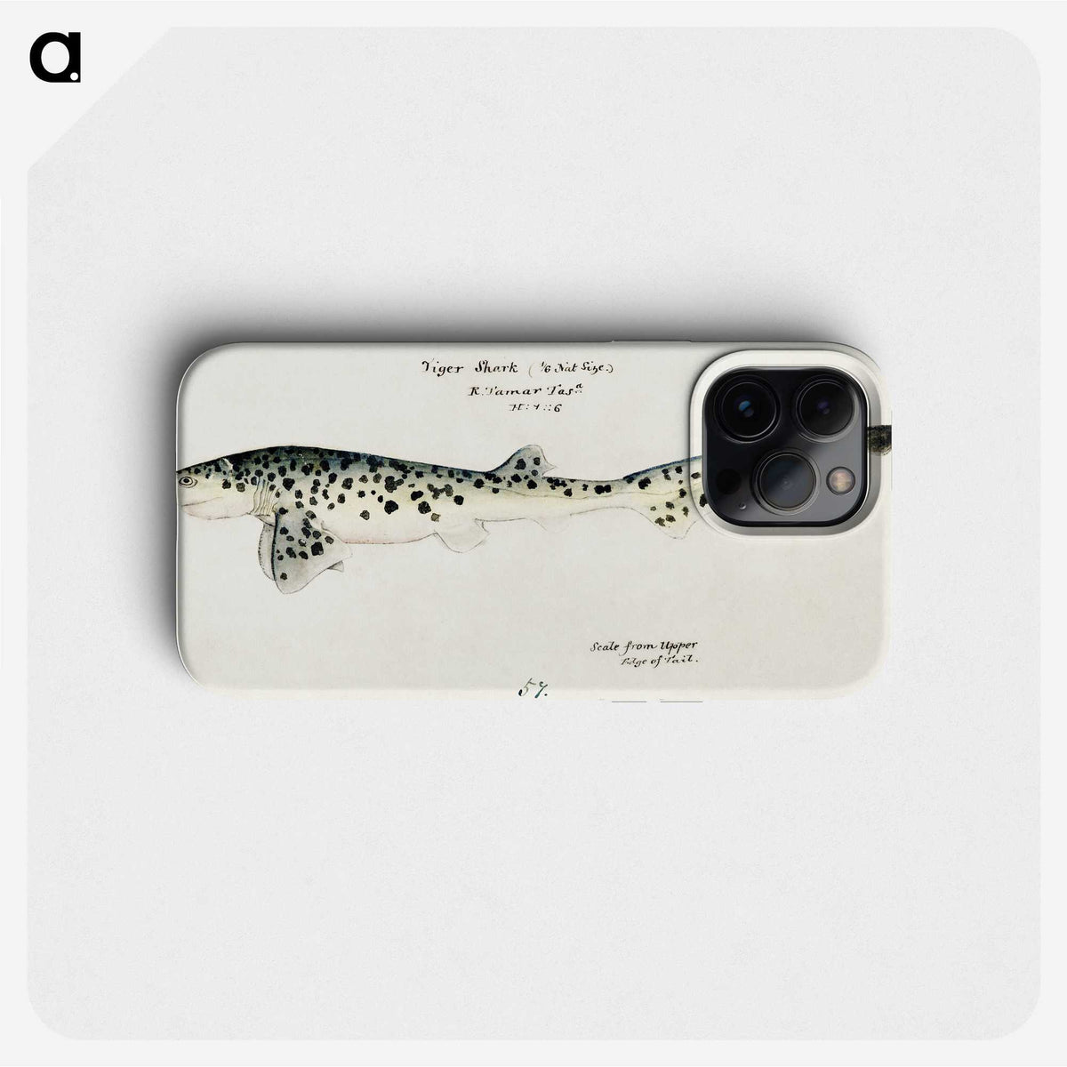 1-19_Frank-Edward-Clarke_phone