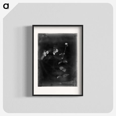 1-19_Frederick-Charles-Brockett_blk