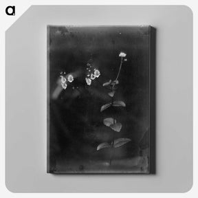1-19_Frederick-Charles-Brockett_canvas
