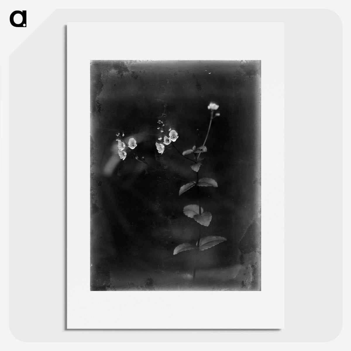 1-19_Frederick-Charles-Brockett_picture