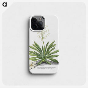 1-19_Georg-Dionysius-Ehret_phone