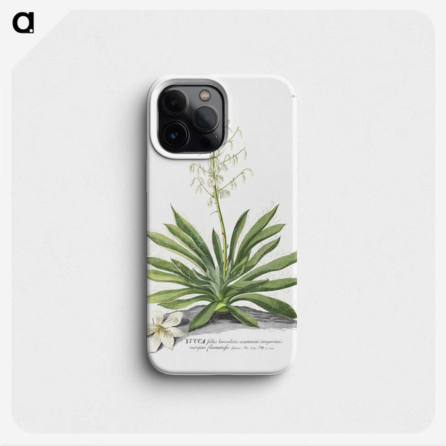 1-19_Georg-Dionysius-Ehret_phone