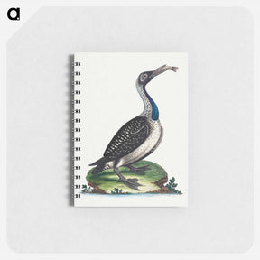 アートメモ帳-Black and White Water-Fowl with Blue Throat
 - ジョージ エドワーズ Memo.
