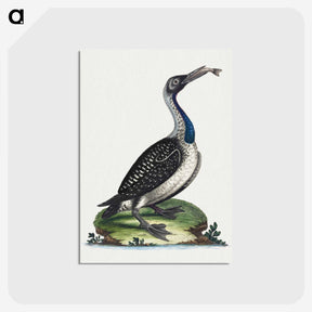 1-19_George-Edwards_postcard