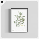 1-19_Histoire-des-Plantes-Grasses_blk-crop