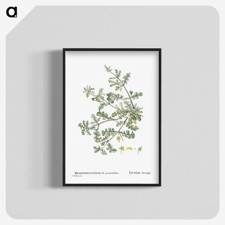 1-19_Histoire-des-Plantes-Grasses_blk-crop