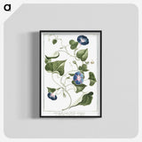 1-19_Hortus-Romanus-Botanical-Plates_blk-crop