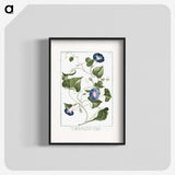 1-19_Hortus-Romanus-Botanical-Plates_blk