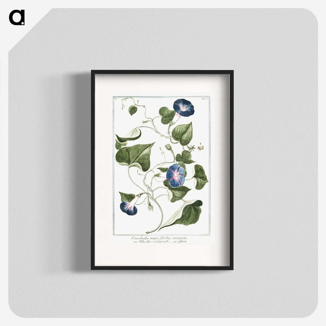 1-19_Hortus-Romanus-Botanical-Plates_blk
